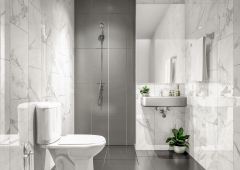 (Copy of) 003 TOIlet